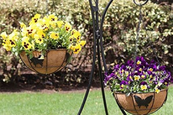 Coir Hanging Baskets